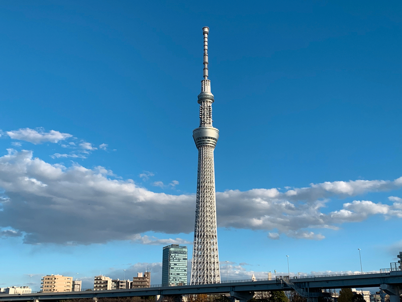 Tokyo: Skytree and Asakusa History Exploration oBzbE541