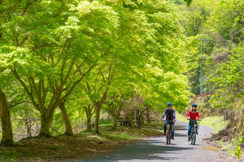 Tokyo Okutama Mountain Half-Day Cycling Adventure with Wasabi Tasting yuV3Tc2Q