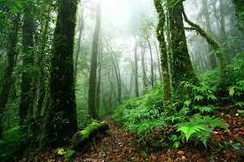 Doi Inthanon National Park in Chiang Mai zBlaCjJa