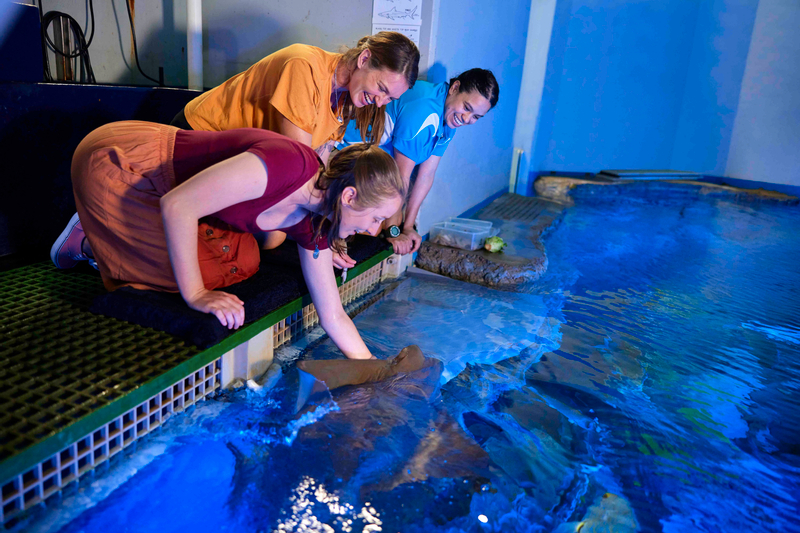 Marine Life Encounter Tour at Cairns Aquarium iI8e6RTS