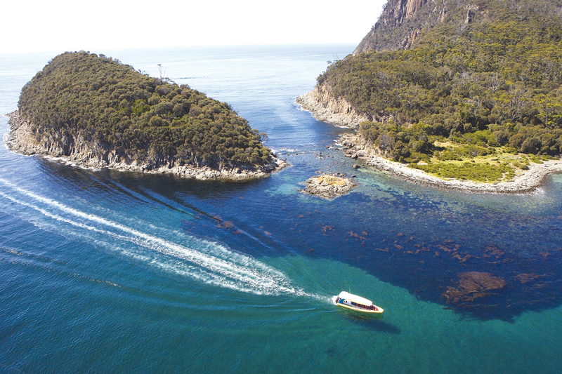 Bruny Island Wilderness Cruise Day Tour from Hobart or Kettering w4fl0CKp