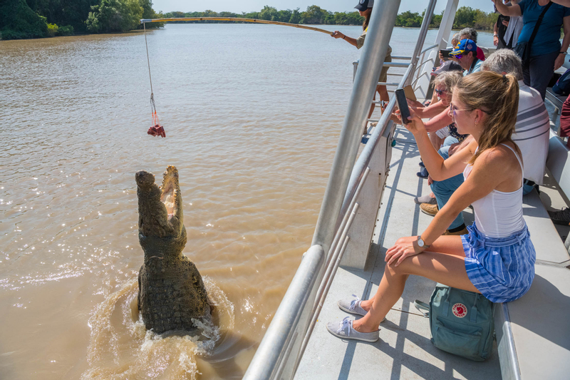 Adelaide River Jumping Crocodile Cruise Tour 9Szi7DC5