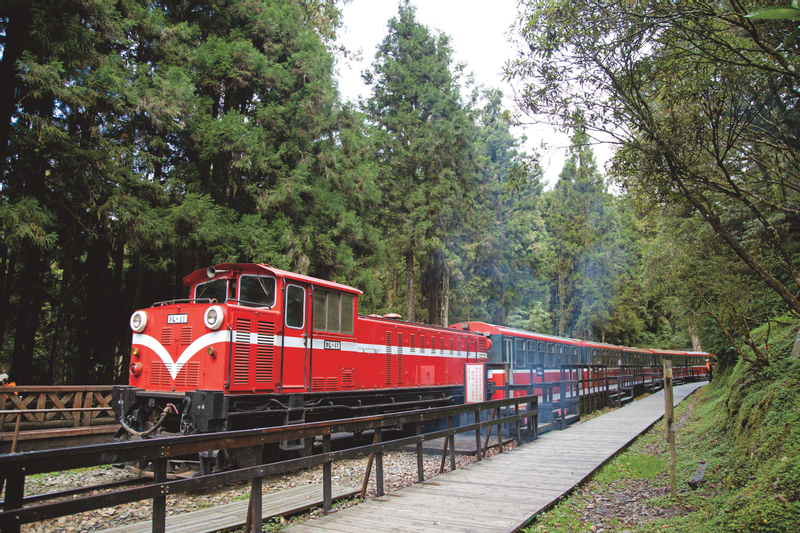 Sun Moon Lake & Alishan Private Guided 3-Day Tour IMnI4mVI
