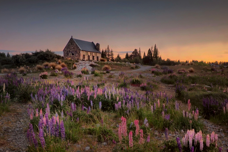 Christchurch to Queenstown Full-Day Tour with Mount Cook kNVGDZ9E