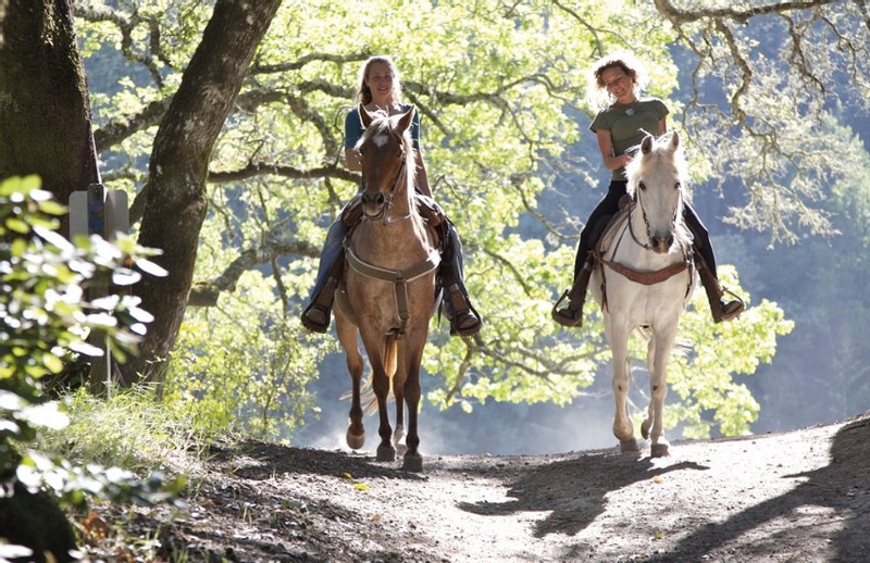 Tuscan Chianti Hills Horseback Riding Tour qq8FGz6G