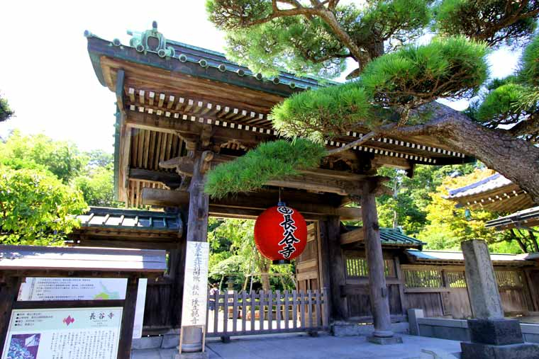 Kamakura Full-Day Private Tour with Shonan Coast Views 7mXHyYW7