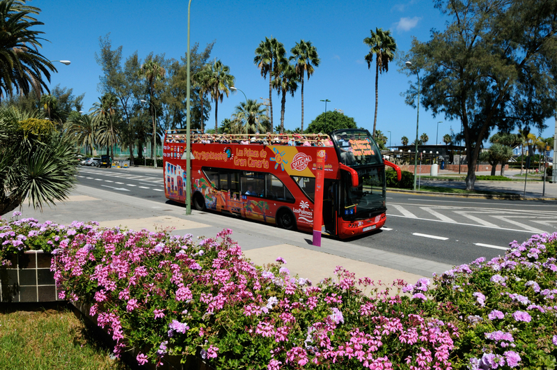 Las Palmas de Gran Canaria City Sightseeing Hop-On Hop-Off Bus Tour DMQhoAgv