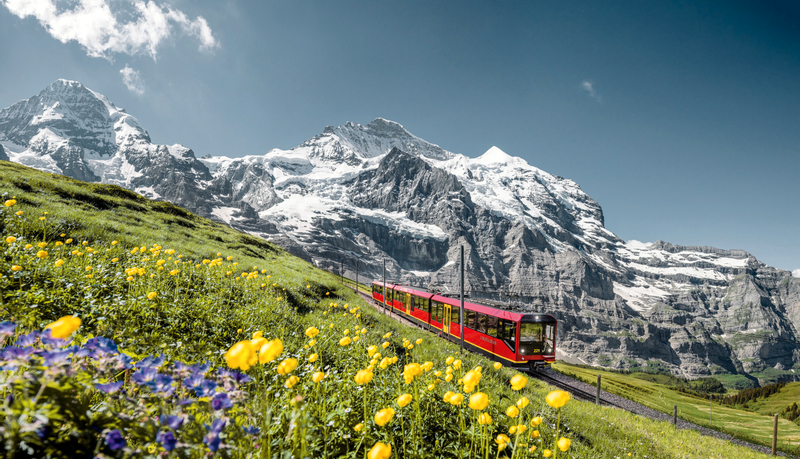 Jungfraujoch Top of Europe Day Tour with Transport DiK3n9zV