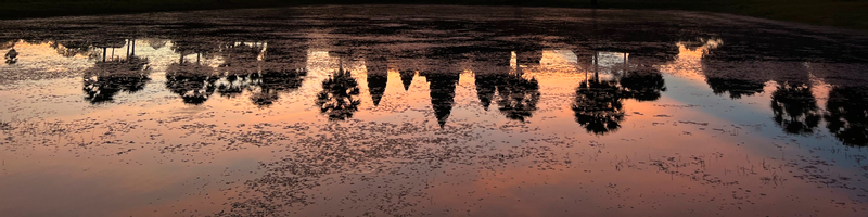 Siem Reap Angkor Wat Sunrise & Ancient Temples Private Tour 1cm3eknr