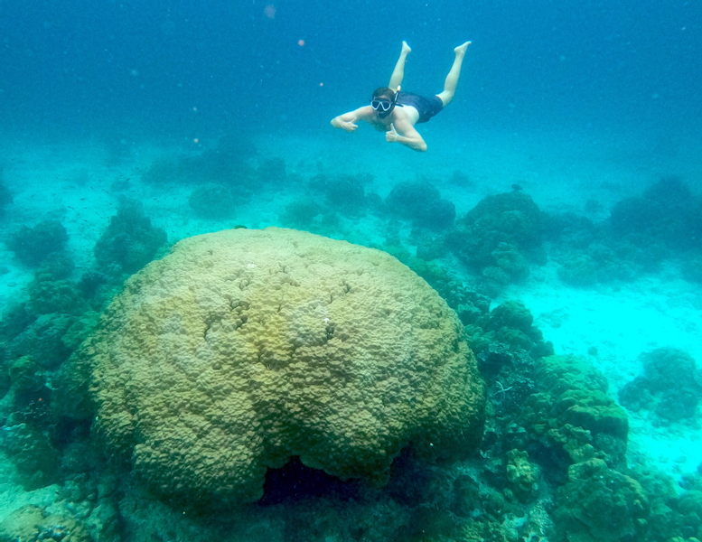 Ko Pha-ngan Nang Yuan Island Half-Day Tour with Transfers bcW7f1Xr