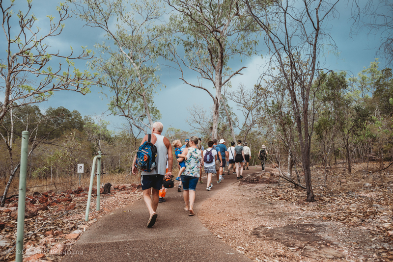 Litchfield National Park Tours Y558KHkU