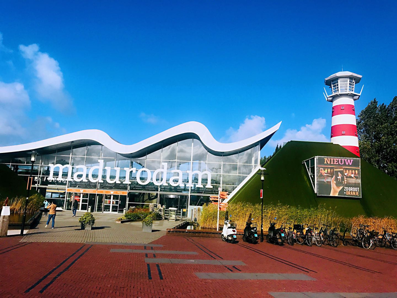 Rotterdam, Delft, The Hague Day Tour with Madurodam iXy0fKDQ