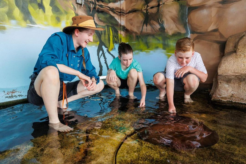 Whipray Encounter Experience in Darwin mPlaprI3