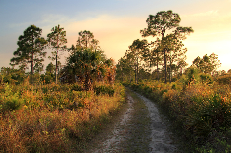Big Cypress Florida Self-Guided Driving Audio Tour FkOtLCDt