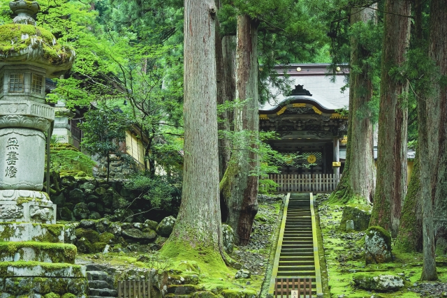 1 Day Tour from Kanazawa: Eiheiji Temple and Fukui City Castle Town eRGqWdf6