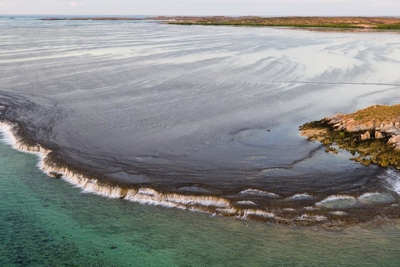Waterfall Reef Sea Safari in Cygnet Bay 5xioRCJd