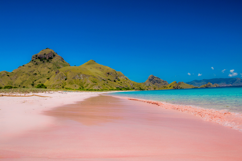 Labuan Bajo Padar & Kanawa Islands Full-Day Island Hopping Tour JeQPbuwB