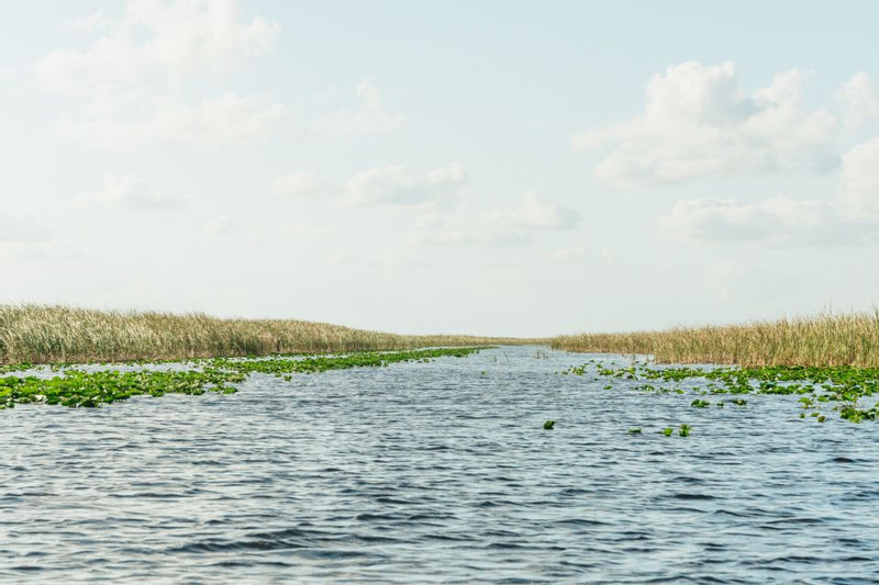 Everglades Airboat Tour from Miami Vnd7iVsF