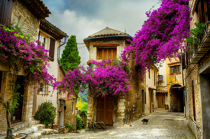 Provence and its Medieval Villages Full-Day Tour from Nice 4R2kyYuP
