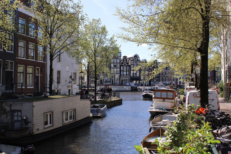 Layover private tour from Schiphol Airport - Amsterdam yApnMsHi