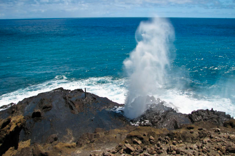 Circle Island Tour Oahu gi26i72k