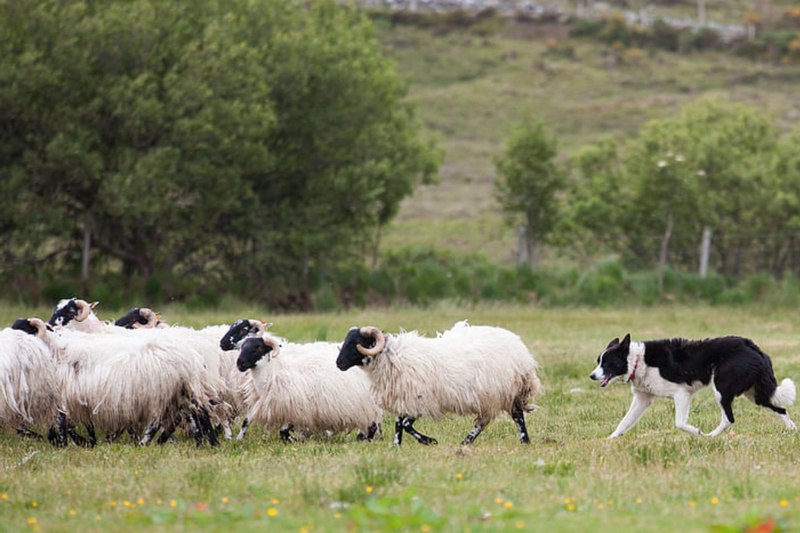 Kilkenny, Wicklow, and Glendalough Tour from Dublin KuFOM89A