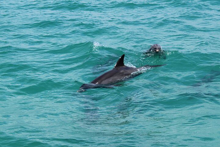 Key West Tour with Choice of Water Activities from Miami KeeGG1Pk