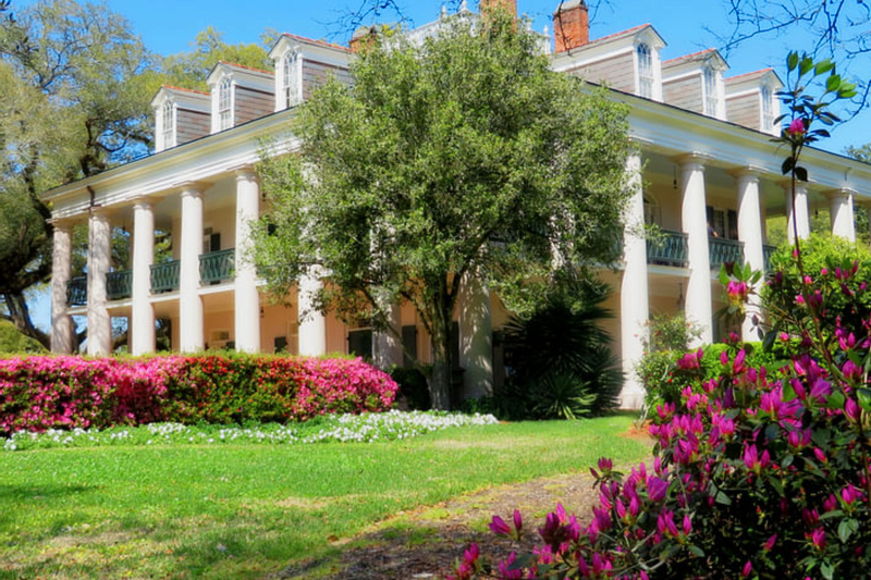 Swamp Boat Ride and Oak Alley Plantation Tour from New Orleans qOHI48yf