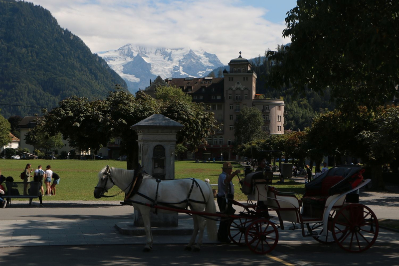 Interlaken Highlights Tour with a Local by Private Car 3xw9fsOA