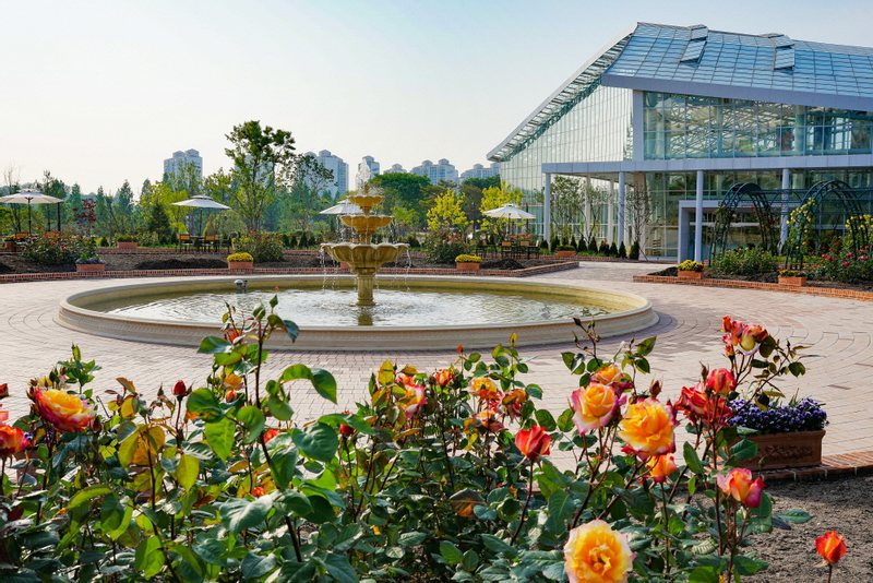 Arboretum Irwol&Ludensia&Korean Folk Village&Starfield Library Tour 6lh8SlJO