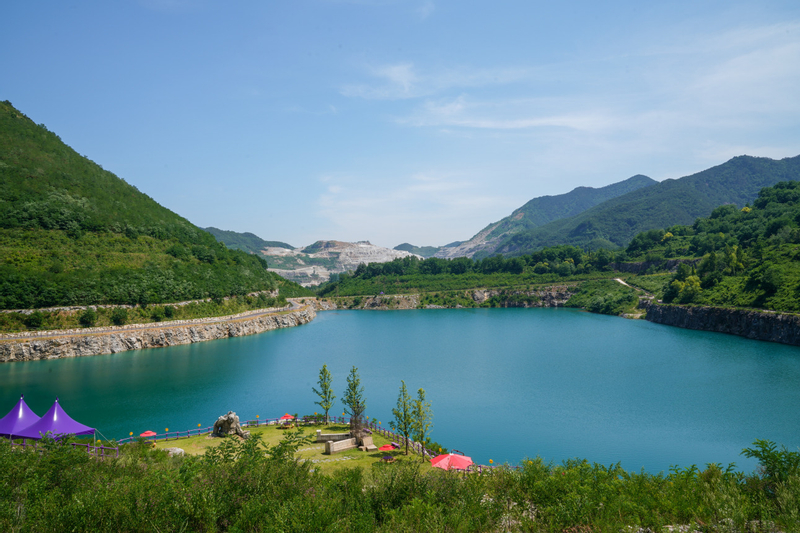 Seoul Mangbang Canola & Rose Park One-Day Flower Viewing Tour cvx5IjWH