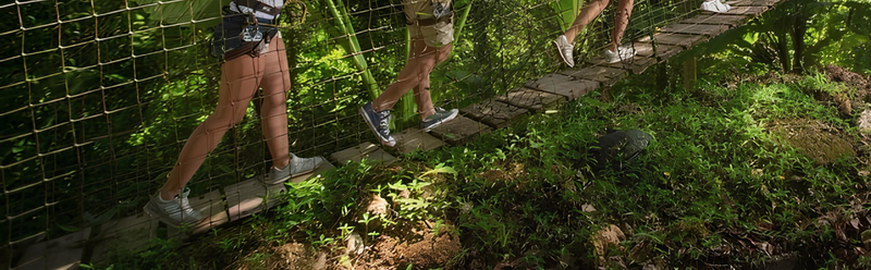 Phuket Zipline Adventure & Free Fall Jump by Jungle Xtrem M6cGmo4B