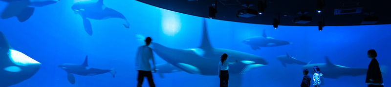 AQUARIUM PARK AOAO SAPPORO (Hokkaido) bNb6MI6I