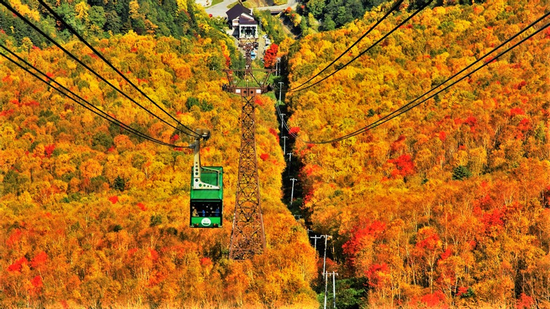 EN/CN│Kurodake Ropeway, Asahiyama Zoo, with Ramen 1D Bus│Hokkaido ei7TFlmo