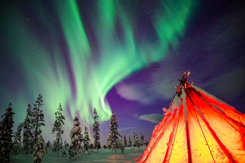 Northern Lights Tour with Professional Camera in Rovaniemi qw9oHRhw