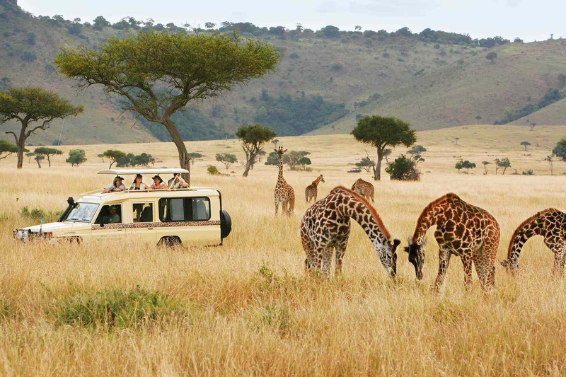 Maasai Mara & Lake Nakuru 5-Day Safari B001JQN5