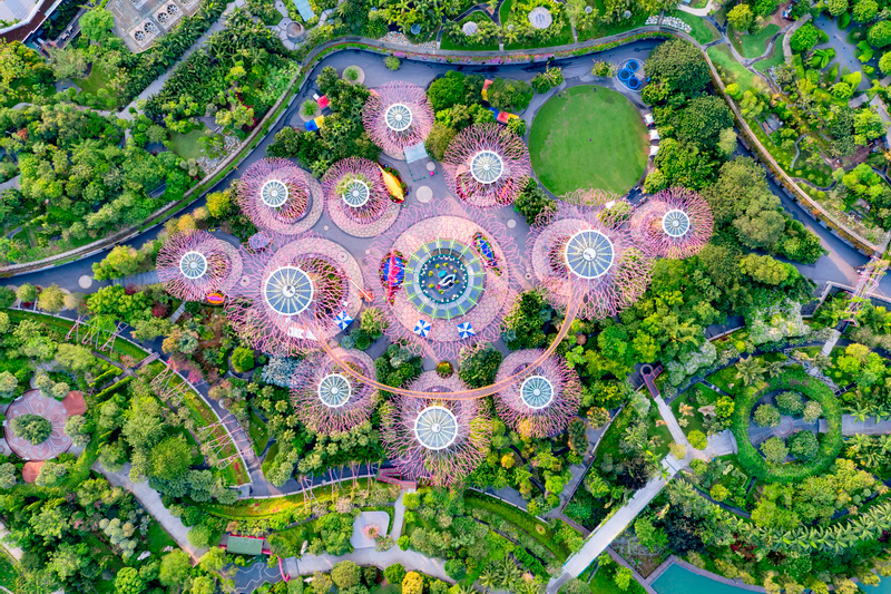 Singapore Gardens by the Bay 2.5-Hour Guided Tour iNGUhbHC