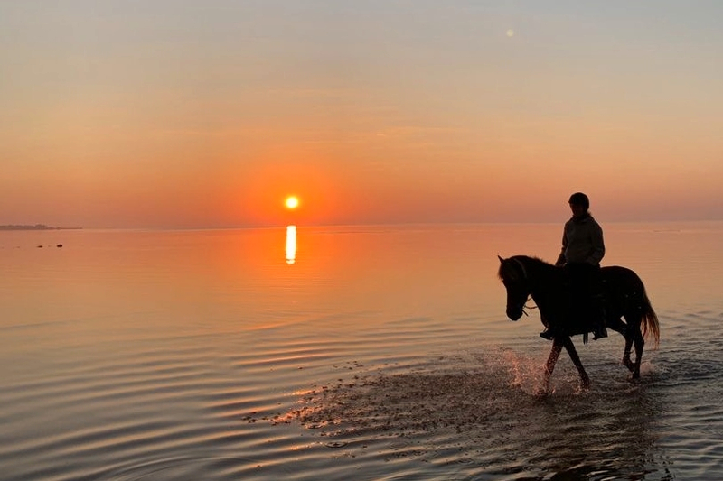 Beach Horse Riding Experience at Seminyak Beach Bali 7sq0CEiZ