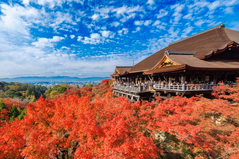 Kyoto Kinkaku-ji, Kiyomizu-dera, and Uji One-Day Tour RGAnKtrf