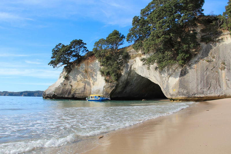 Summer Coromandel Day Tour From Auckland IF3tfkd4