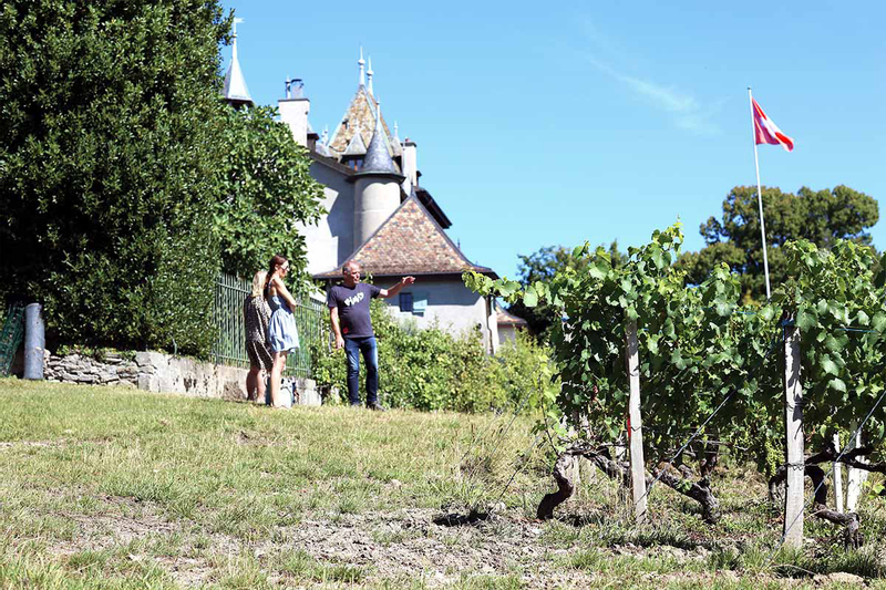 Geneva Panoramic & Vineyard Tasting Private Tour by Electric Tuk Tuk N4R2sZ4p