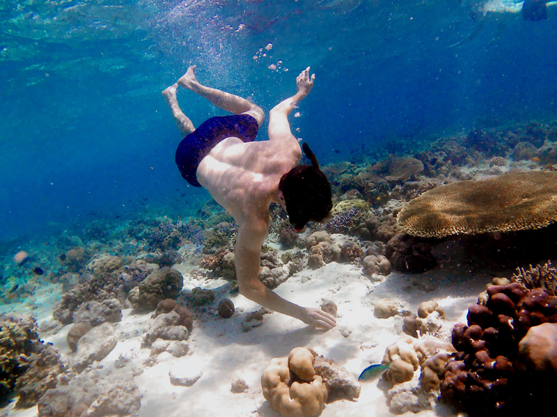 Banyuwangi Sukamade Turtle & Tabuan Island 3-Day Private Tour Fxz7TE74