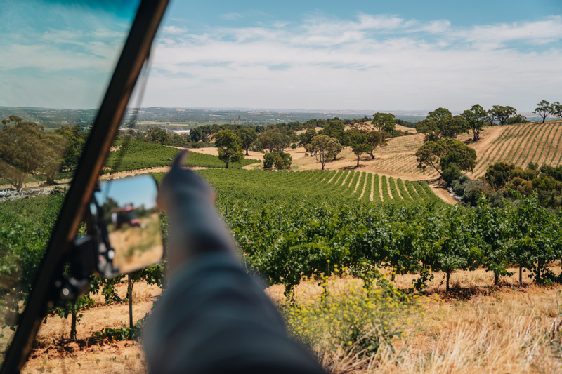 EcoVine Vineyard Explorer Guided Tour 9e6Zck3W
