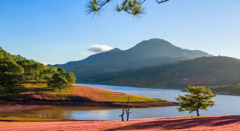 Golden Valley Ticket in Da Lat RgKQYm3m