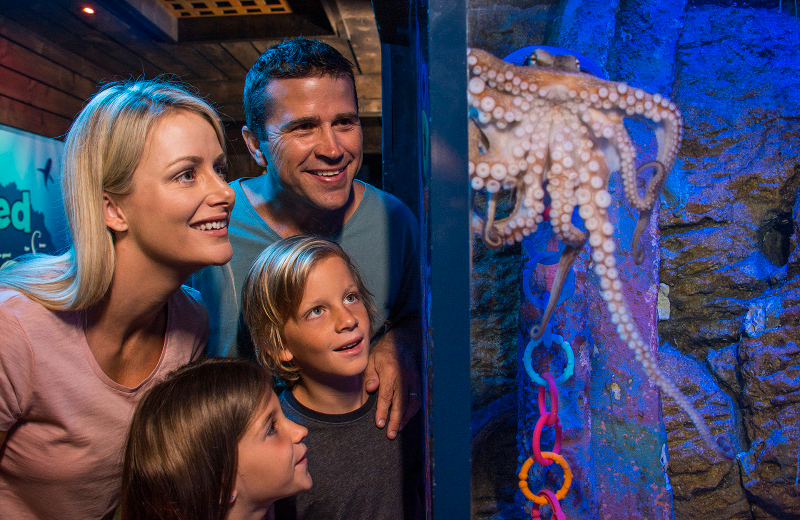 SEA LIFE Sunshine Coast 9CqNgpBp