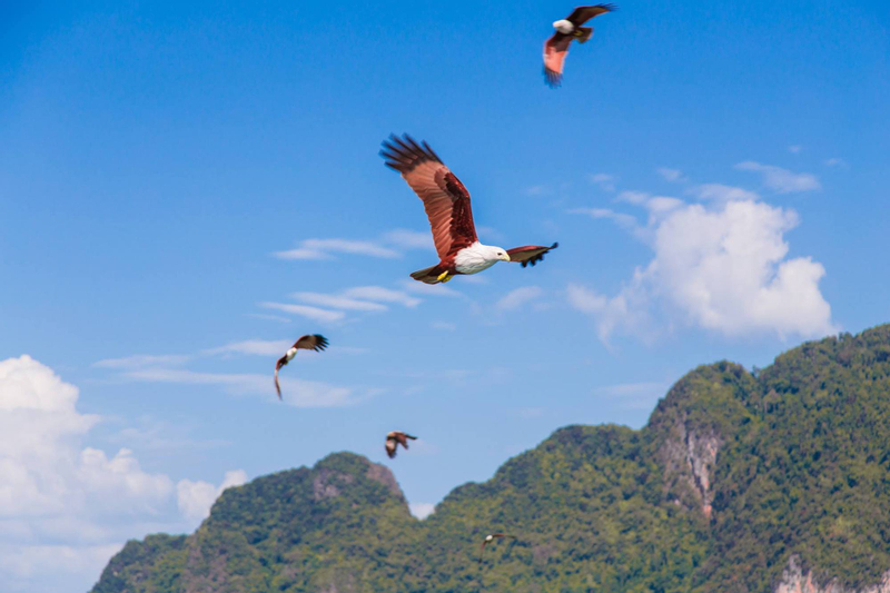 Phuket/Khao Lak: Day Tour James Bond & Ko Panyi with Lunch, Canoeing FfPBDNVC
