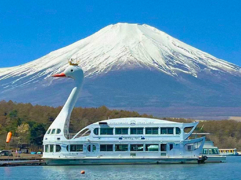 Mount Fuji Internet-famous Twin Lakes Check-in] Kawaguchiko & Yamanakako & Oshino Hakkai & Arakurayama Sengen Park & Hikawa Clock Shop & Lawson Convenience Store One-Day Tour (Departing from Tokyo) 6TobQ5e0