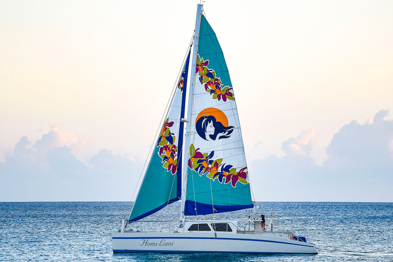 Waikiki Whale Watching Experience from Kewalo Harbor v4nJrPIX