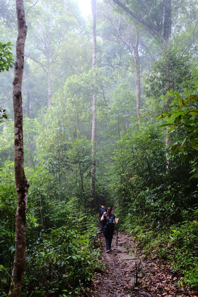 Chiang Mai Half-Day Doi Suthep Hiking Tour jEbCrcqX