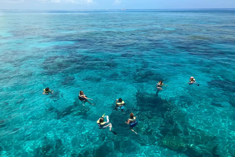 Key West: Dolphin Watching, Snorkeling, and Sunset Cruise OCgntJ9S